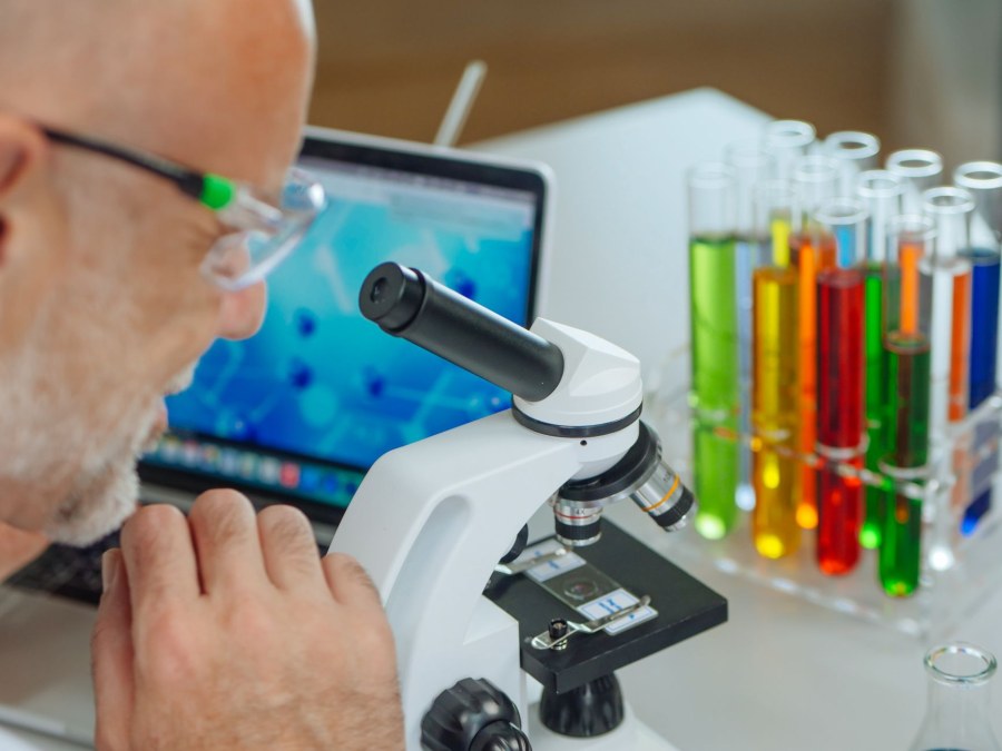 Scoperto un 'codice a barre' chimico per identificare le cellule zombie